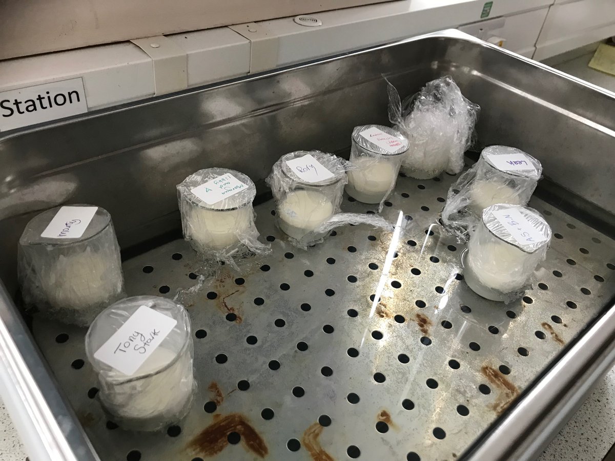 KA Science tweet media