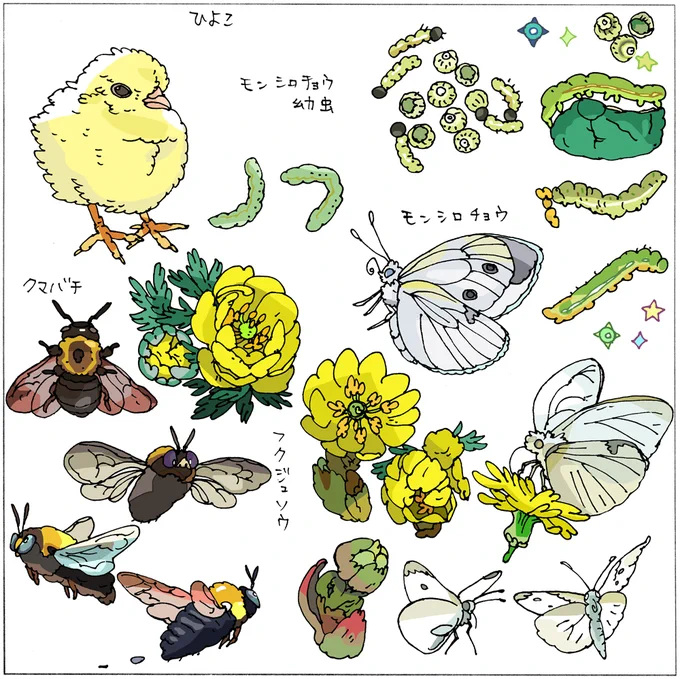 今日から、二十四節気の「啓蟄」です🐞
冬にこもっていた虫たちが地上に這い出して来る頃とされています🐛
生き物たちの賑やかな季節が戻ってきますね☺️ 