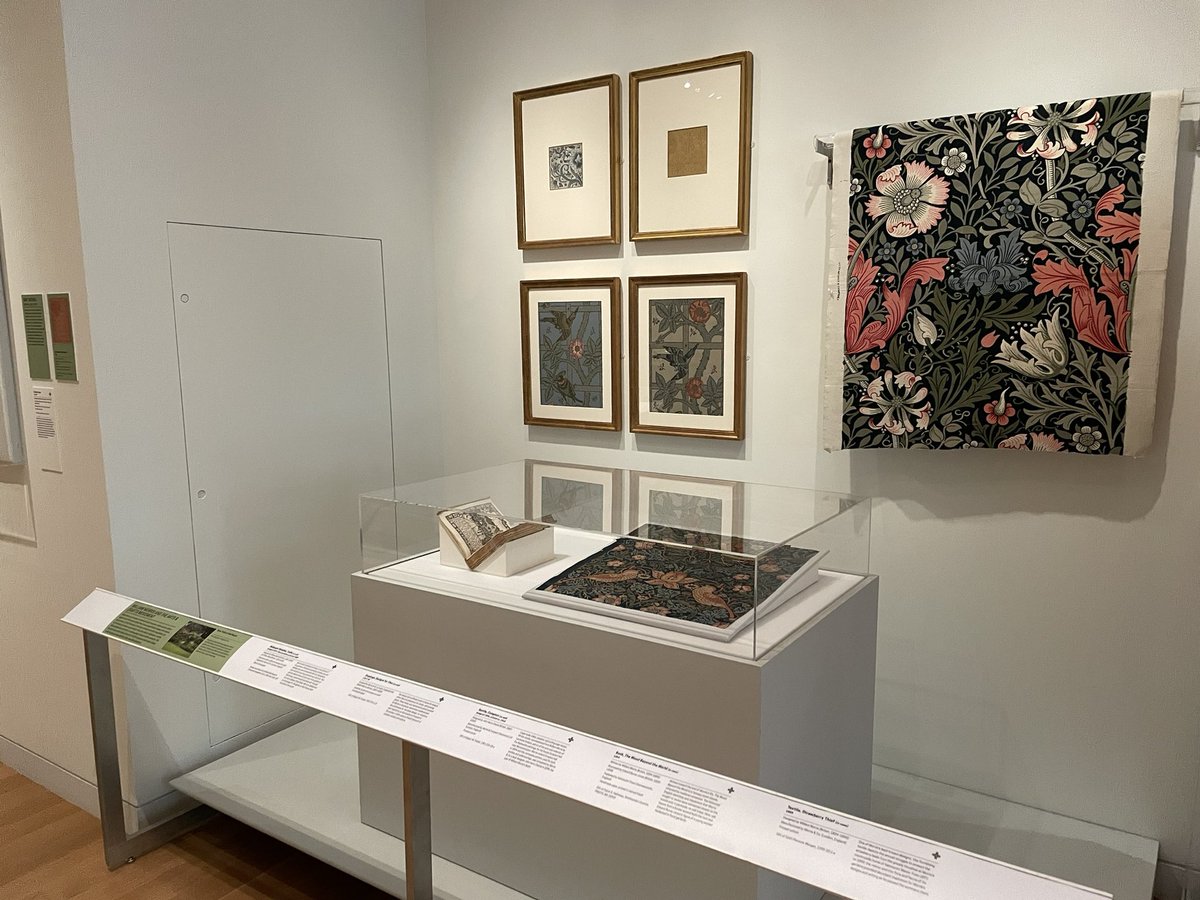 museumfunmaker's tweet photo. a moment to celebrate the gorgeous #exhibitdesign at the always-inspiring @cooperhewitt. #naturebydesign #itweetmuseums #exhibitiondesign https://t.co/fuJwul1zSK