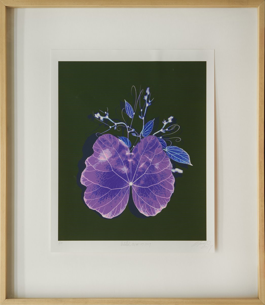 kooper tweet media