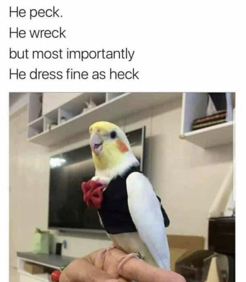 WholesomeMeme's tweet photo. https://t.co/P0NPf6ND4G