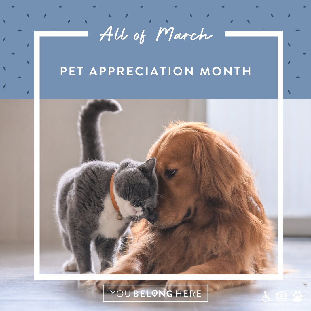 This #petappreciationmonth celebrate your pet by bringing home a new toy or taking them on a fun trip! They deserve the best!