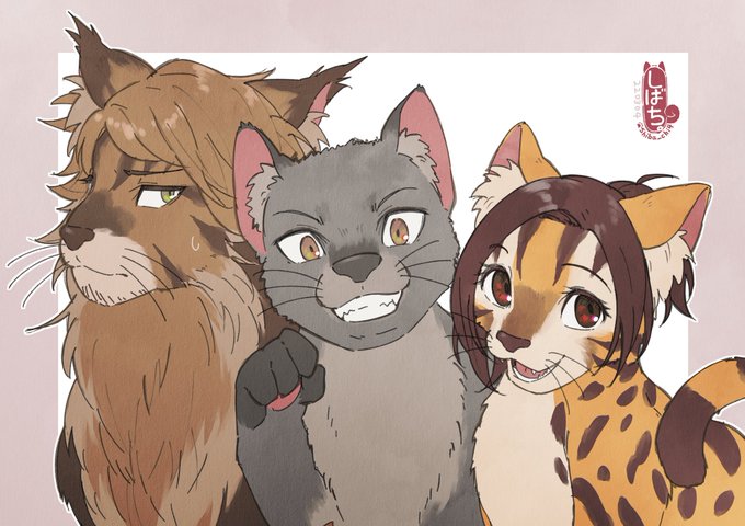 🐈🐈🐈 