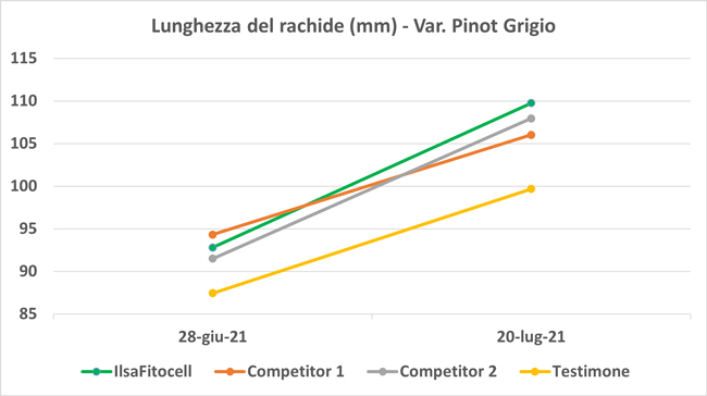 ILSA_pr's tweet photo. #IlsaFitocell stimola lo sviluppo vegetativo dei germogli di nuova formazione e l’allungamento del grappolo fiorale, in particolare, del rachide su vite. 
🍇🧑🏻‍🌾👩🏻‍🌾 Leggi 👇🏻
 https://t.co/iveIY5w82x

#Vino
#ilsagreenevolution 💚 https://t.co/qpCdXWYfmn