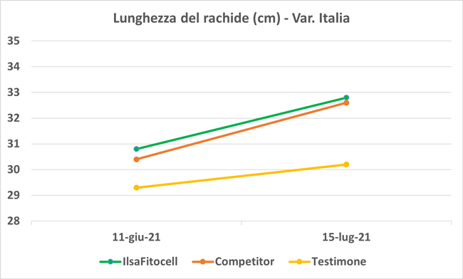 ILSA_pr's tweet photo. #IlsaFitocell stimola lo sviluppo vegetativo dei germogli di nuova formazione e l’allungamento del grappolo fiorale, in particolare, del rachide su vite. 
🍇🧑🏻‍🌾👩🏻‍🌾 Leggi 👇🏻
 https://t.co/iveIY5w82x

#Vino
#ilsagreenevolution 💚 https://t.co/qpCdXWYfmn