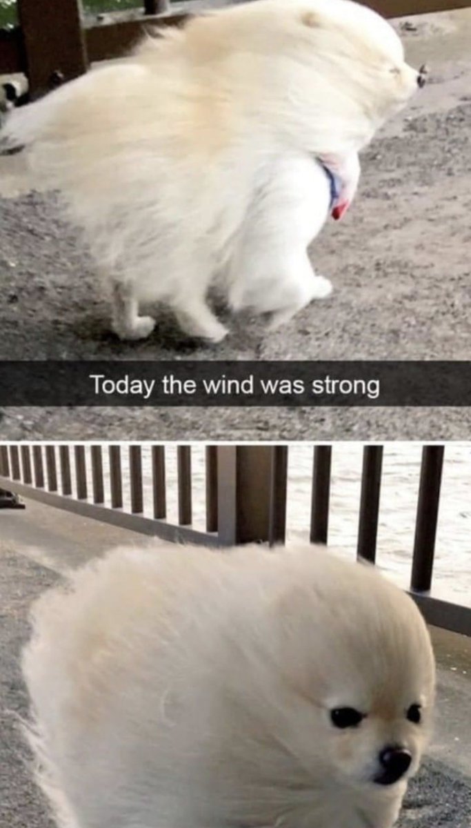 WholesomeMeme's tweet photo. https://t.co/AyQsUDuxnb
