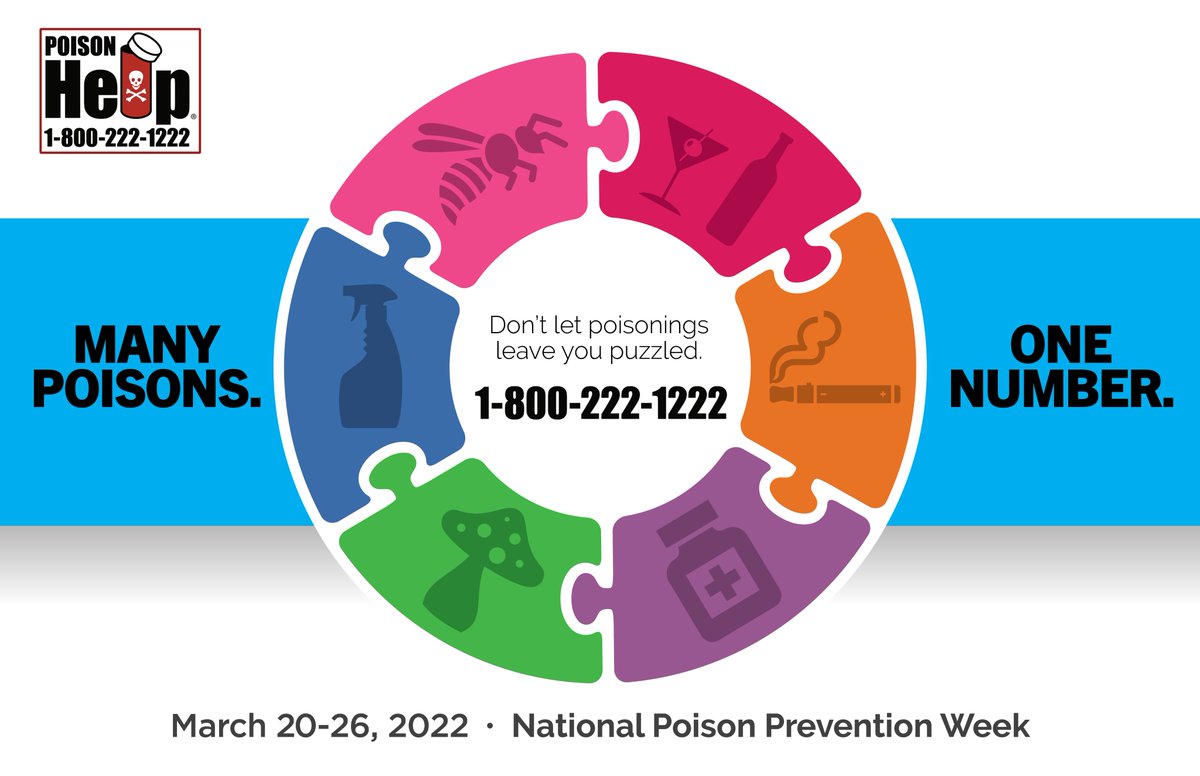 FloridaPoison's tweet photo. Carbon monoxide, animal bites and stings, plants, mushrooms, pesticides. Many poisonings can happen to anyone. That’s why we’re here for everyone. #NPPW22 https://t.co/7iJiCLtWOA