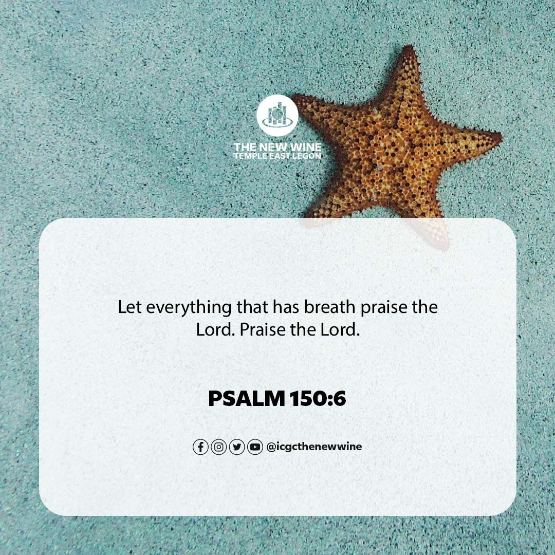 icgcthenewwine's tweet photo. The New Wine Verse Corner
Let everything that has breath praise the LORD. Praise the LORD.
Psalm 150:6
#thenewwine365 #connectwithrevismaila #dailyscripture #revismailamotivates https://t.co/erTdeH4iNJ