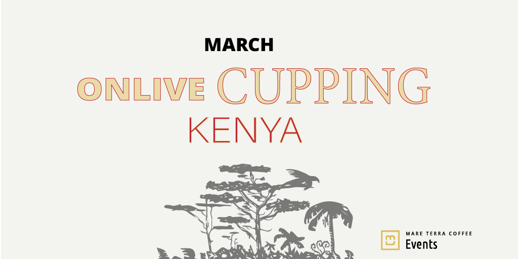 #specialtycoffe #catasdecafé #Kenya #mareterracoffee