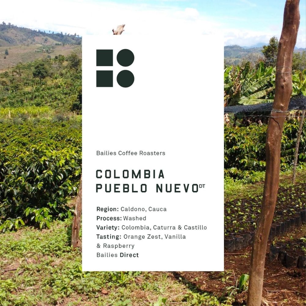 Bailies Coffee Roasters (@bailiescoffee) on Twitter photo ✨Fresh Microlot Coffee✨
🇨🇴Colombia Pueblo Nuevo 
🍊Orange Zest, Vanilla & Raspberry
💧Washed
🌱Colombia, Caturra & Castillo 
bit.ly/3hFTZHc ✨Fresh Microlot Coffee✨
🇨🇴Colombia Pueblo Nuevo 
🍊Orange Zest, Vanilla & Raspberry
💧Washed
🌱Colombia, Caturra & Castillo 
bit.ly/3hFTZHc