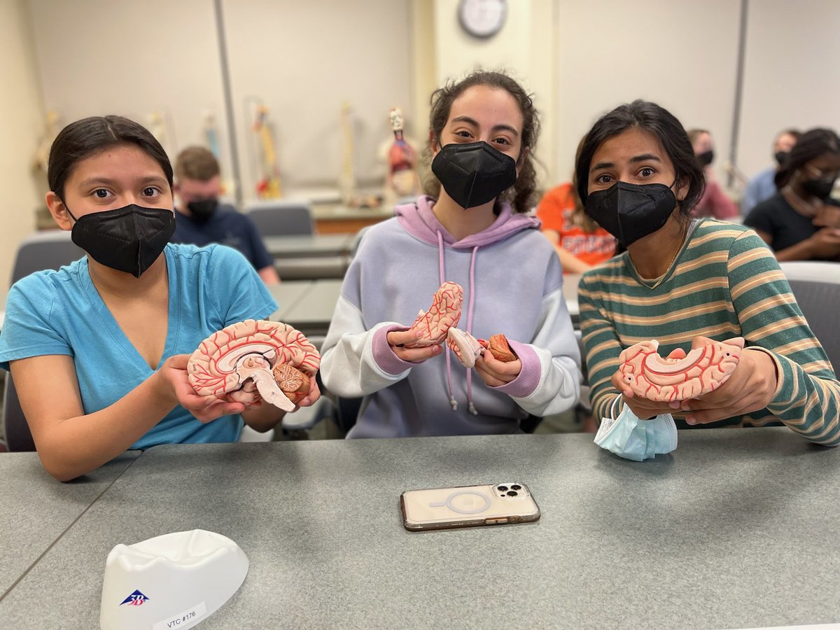 vtcsom's tweet photo. I know we're a little biased here but isn't this just the coolest thing? High school kids learning about the brain and neuroscience? We are very proud of our students for implementing the #MedDocs program to expose the youth to medical education in this very cool hands-on program https://t.co/vplSoA89GE