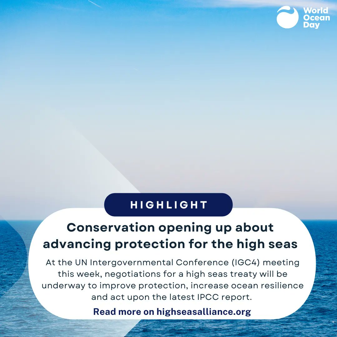 WorldOceansDay's tweet photo. There's a lot of ugly in the world right now. We hope these #HappyHeadlines can remind you of the good out there too. https://t.co/n1T43ggsVr