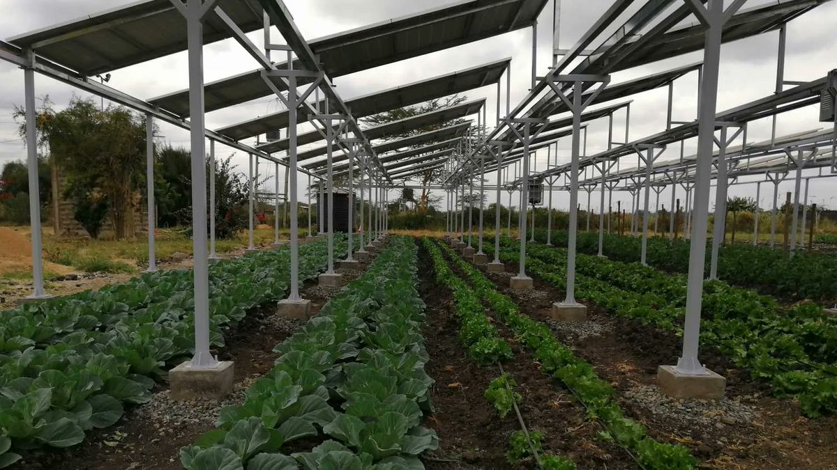 Hellenic_Group's tweet photo. Special solar panel technique known as #agrivoltaics that installs solar panels both to generate clean energy and to shade crops.
#Renewableenergy #FridayFarming #SolarAg #Solar #Agriculture #Cleanenergy #CombinationSystem
https://t.co/PtMLzi4eQY https://t.co/TSUhU0Y0Bf