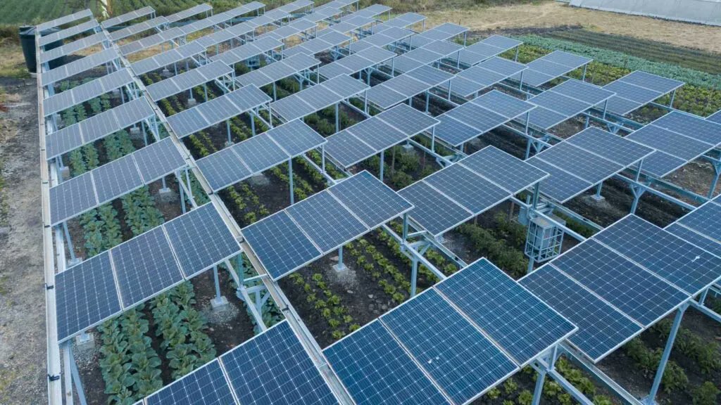 Hellenic_Group's tweet photo. Special solar panel technique known as #agrivoltaics that installs solar panels both to generate clean energy and to shade crops.
#Renewableenergy #FridayFarming #SolarAg #Solar #Agriculture #Cleanenergy #CombinationSystem
https://t.co/PtMLzi4eQY https://t.co/TSUhU0Y0Bf