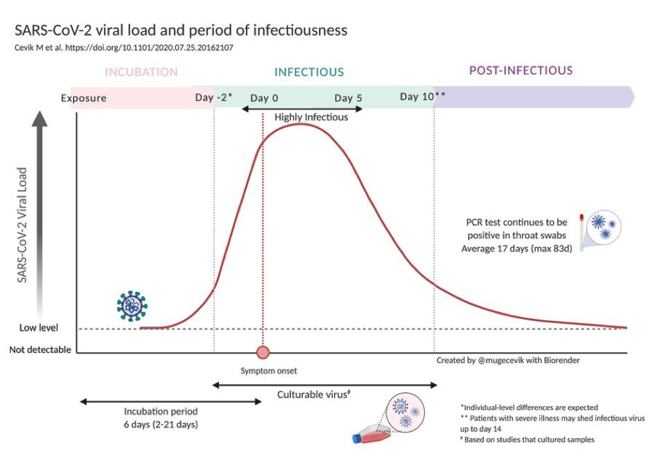 Solche Zeitverläufe von SARS-CoV—2-Infektion, Infektiösität und Sensitivität von Tests gab es zu Beginn so einige (dieser ist von Juli 2020), aber für Omikron finden wir gerade nichts entsprechendes und aktuelles. Hat jemand einen Tip für uns? #coronaweekly