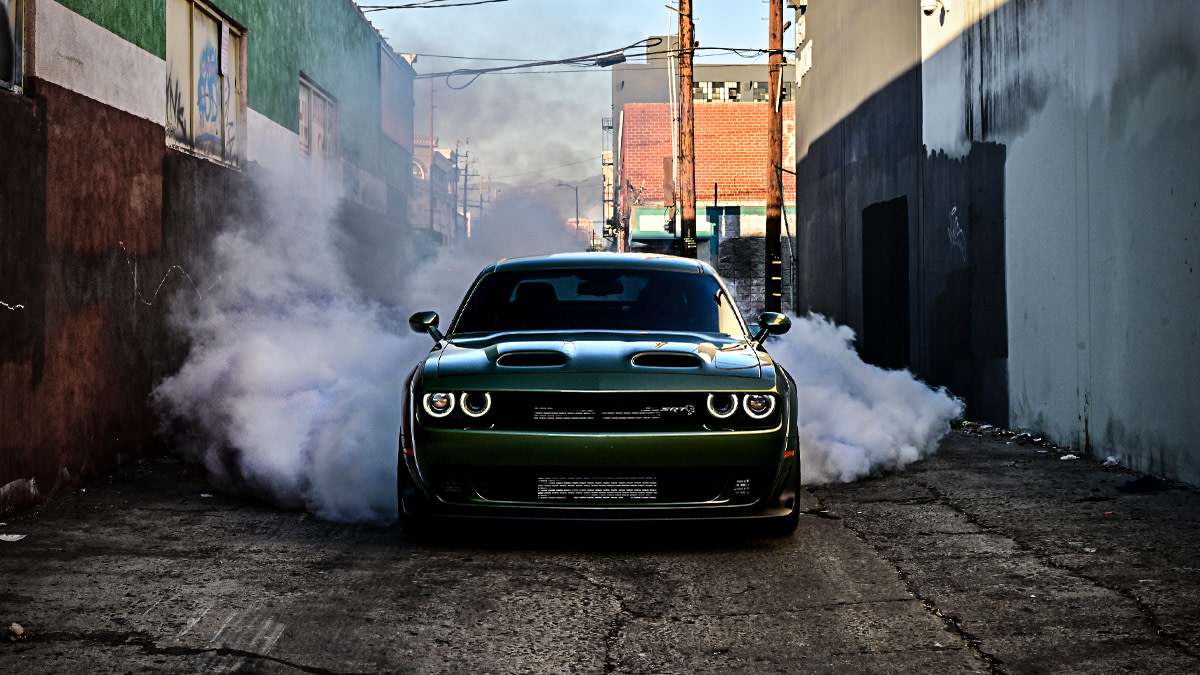 Dodge's tweet photo. A rare breed. 😼 #DodgeJailbreak https://t.co/29yROoPMwn
