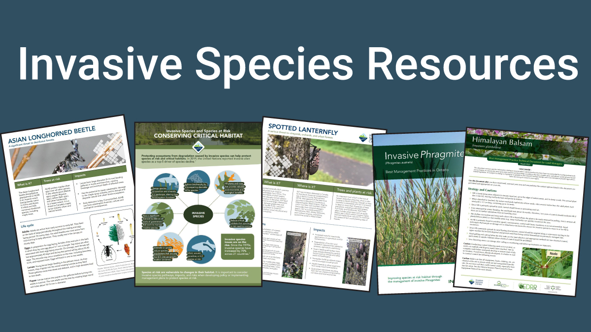 Invasive Species Ctr tweet media