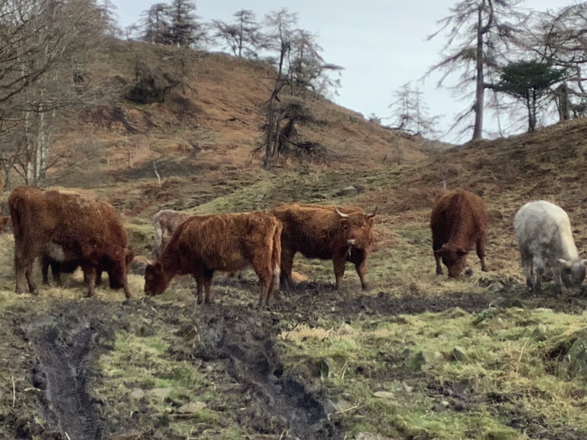 PPTowerWood's tweet photo. Well…
There had to be mud! https://t.co/jylSpTPw8B