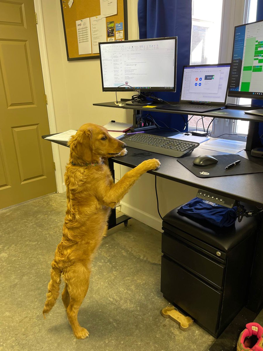 Journey is hard at work making sure our #makeadifference team is organized today. She's reporting in from The Peaks Retreat & Adventure Center this morning and hopes you all had a great week! ow.ly/fexG50I9CWL