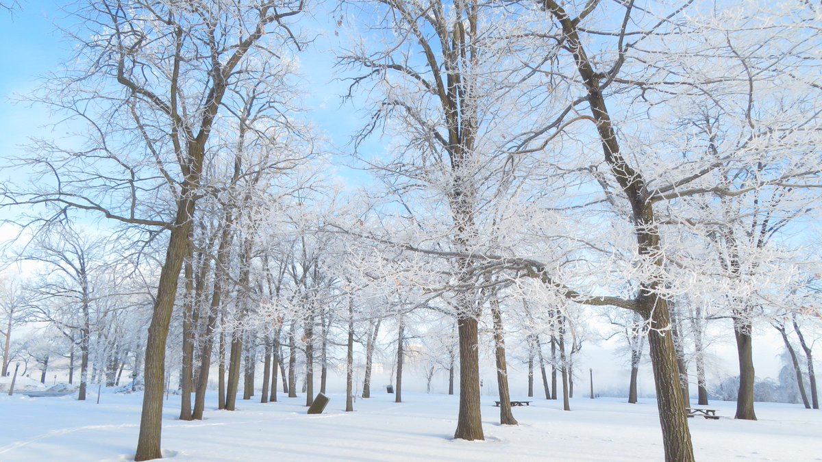 LuKing16's tweet photo. This morning on Bate Island. Is it called rime ice or rime frost? https://t.co/ZhEjlpeii4