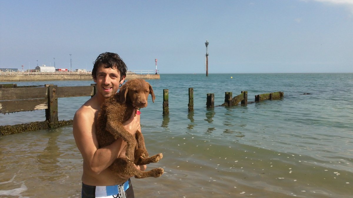 Get Wild 🐦 🦋 🐝 🍃 tweet media