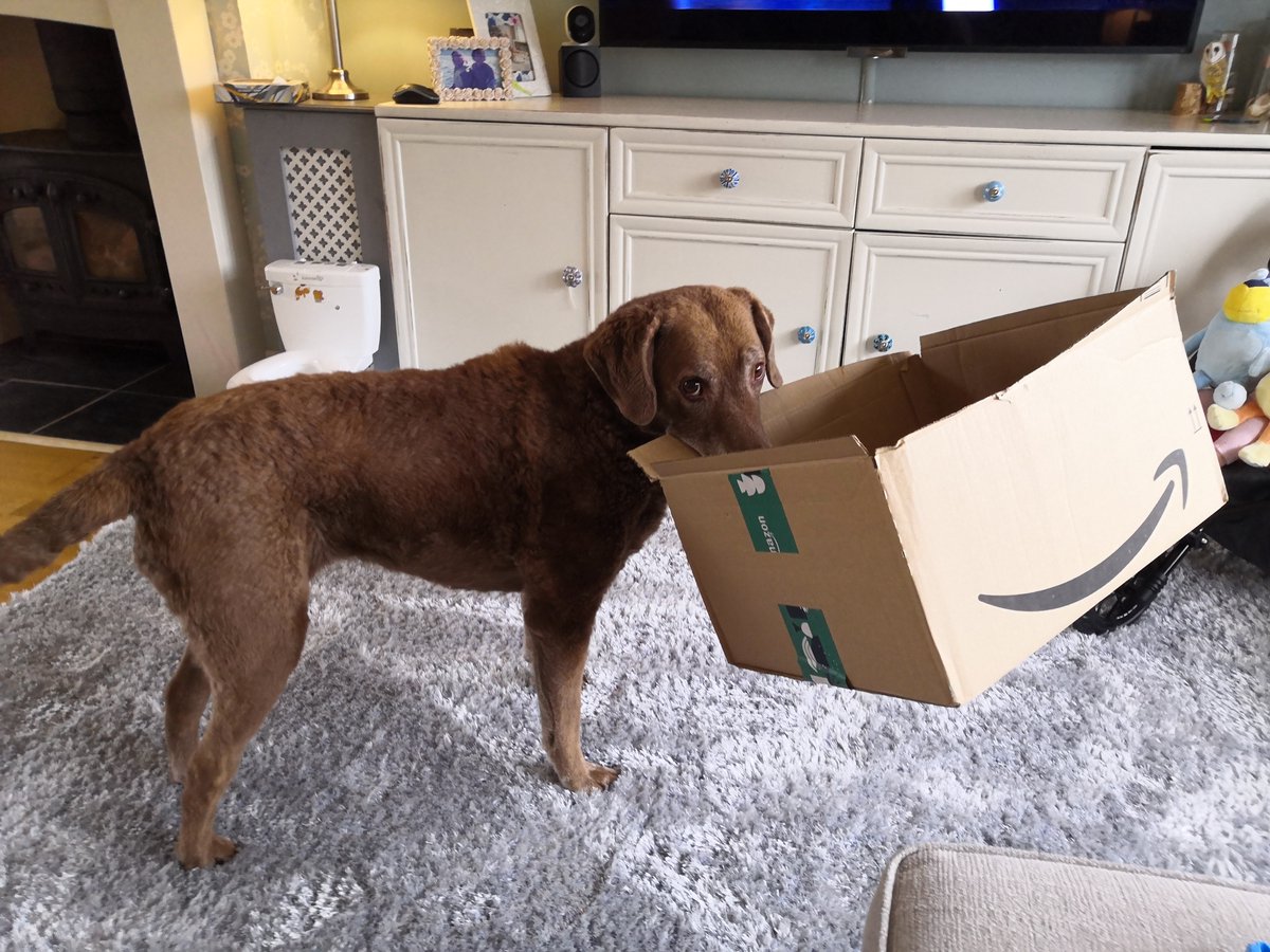 Get Wild 🐦 🦋 🐝 🍃 tweet media