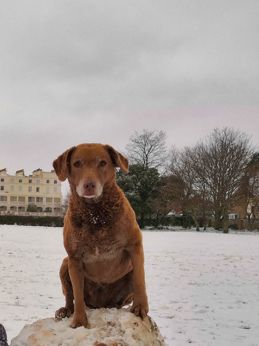 Get Wild 🐦 🦋 🐝 🍃 tweet media