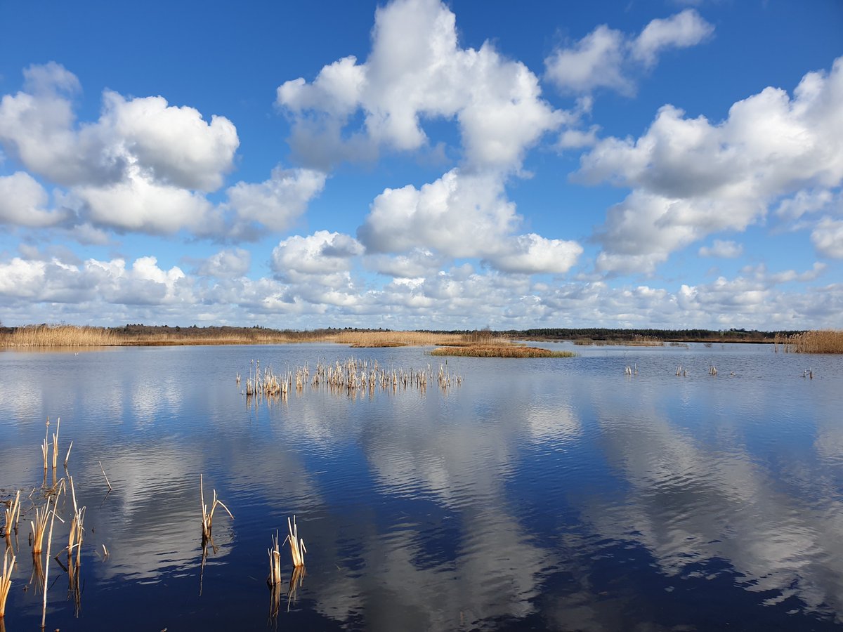 richa_marwaha's tweet photo. A beautiful sunny day π for fieldwork at Cavemount, Co Offaly (rehabilitation bog site) for vegetation mapping as part of @TerrainAI with @matts20000 π°π #terrainai #PeatTwitter #peatlandsmatter https://t.co/MfgjTRsEkq