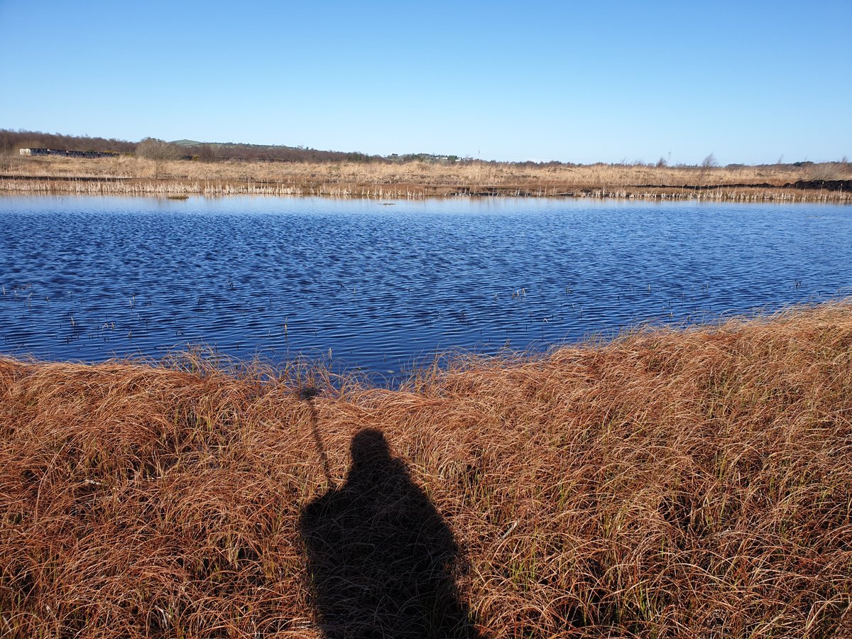 richa_marwaha's tweet photo. A beautiful sunny day π for fieldwork at Cavemount, Co Offaly (rehabilitation bog site) for vegetation mapping as part of @TerrainAI with @matts20000 π°π #terrainai #PeatTwitter #peatlandsmatter https://t.co/MfgjTRsEkq