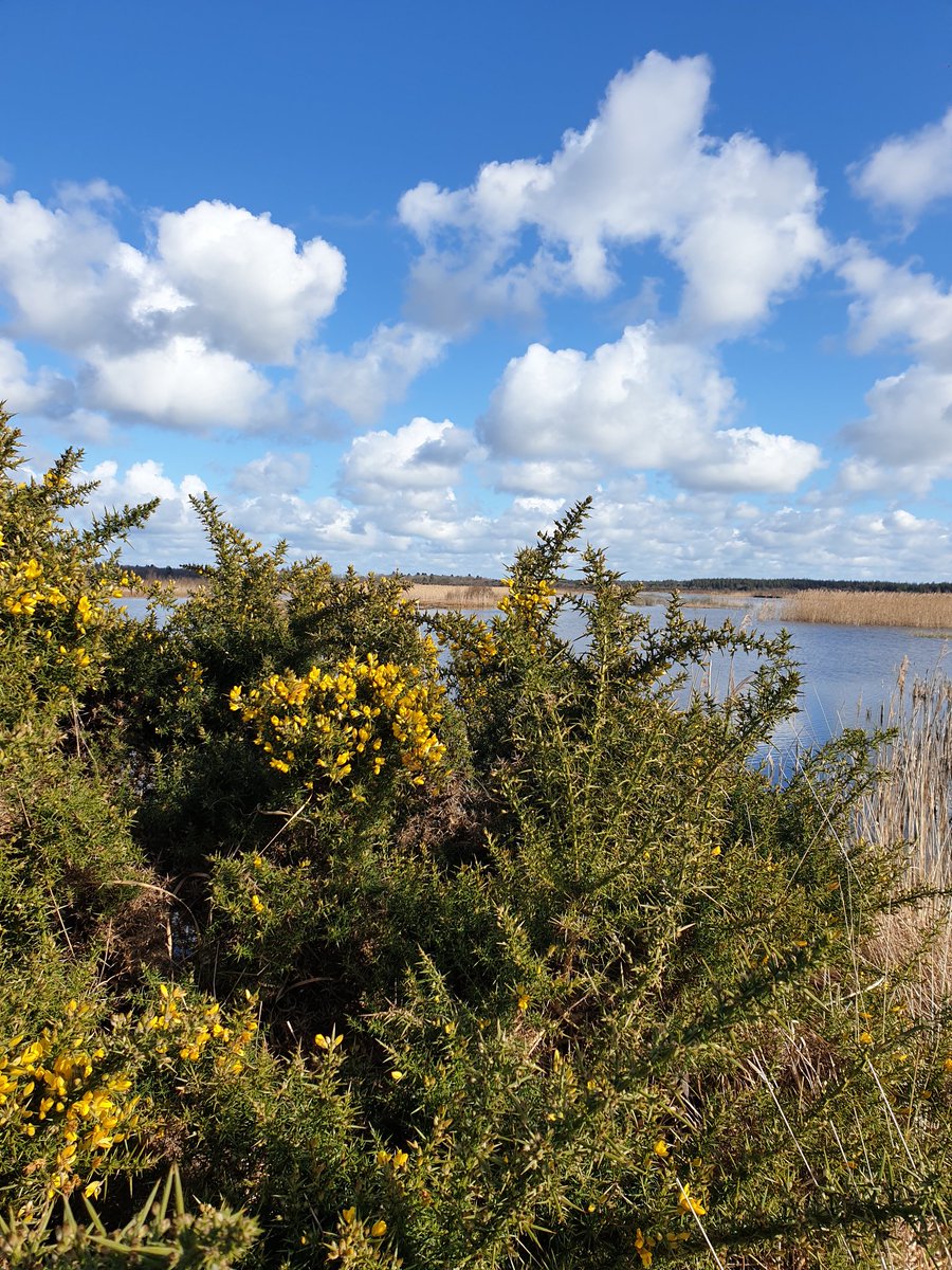 richa_marwaha's tweet photo. A beautiful sunny day π for fieldwork at Cavemount, Co Offaly (rehabilitation bog site) for vegetation mapping as part of @TerrainAI with @matts20000 π°π #terrainai #PeatTwitter #peatlandsmatter https://t.co/MfgjTRsEkq