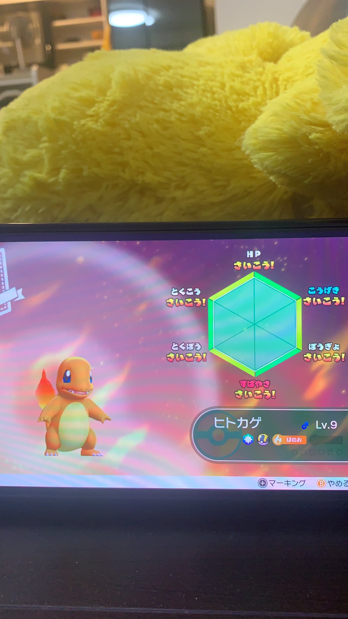 Follow モンロー S Fkmiciknlubnsql Latest Tweets Twitter