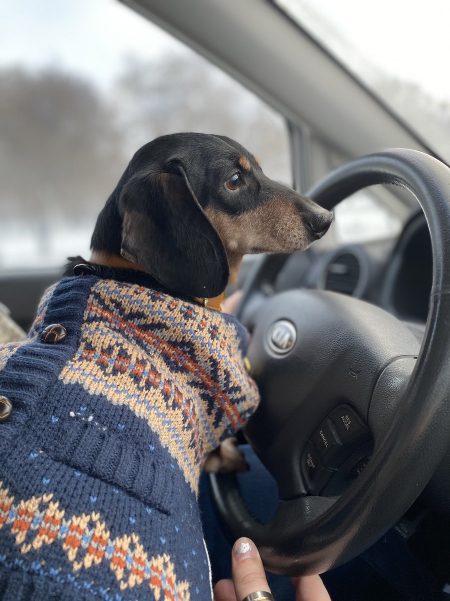 Maxi Pad tweet media