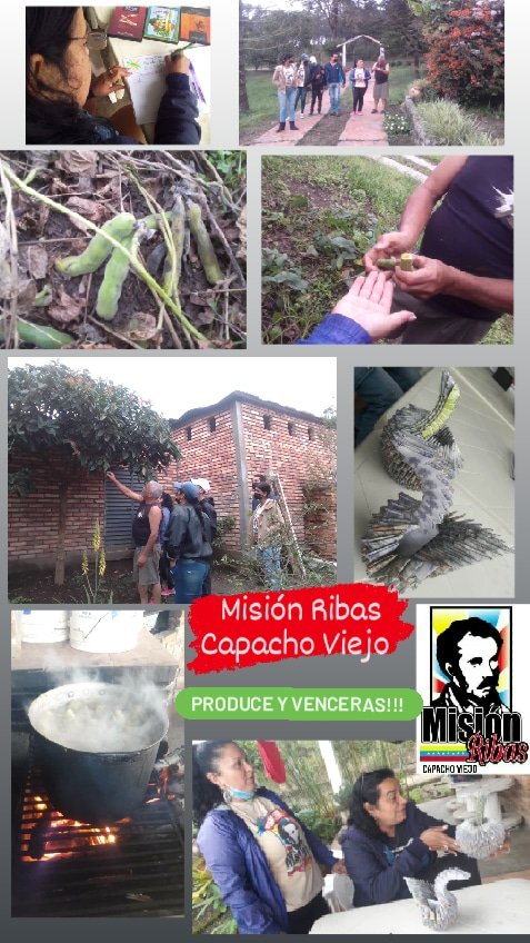 Espacios sociocomunitario y socioproductivo en el mcpio. Capacho Viejo #Tachira nuestros vencedores junto a sus facilitadores dicen: Necesario es Vencer <a href="/MPPEDUCACION/">MPPEDUCACION</a> @ZonaEducTachira <a href="/Berzabethg1/">Berzabethgandicaoficial</a> <a href="/maryany427/">Maryan Ontiveros</a> <a href="/NicolasMaduro/">Nicolás Maduro</a> <a href="/FreddyBernal/">Freddy Bernal</a> <a href="/fundacion_ribas/">Fundación Misión Ribas</a>