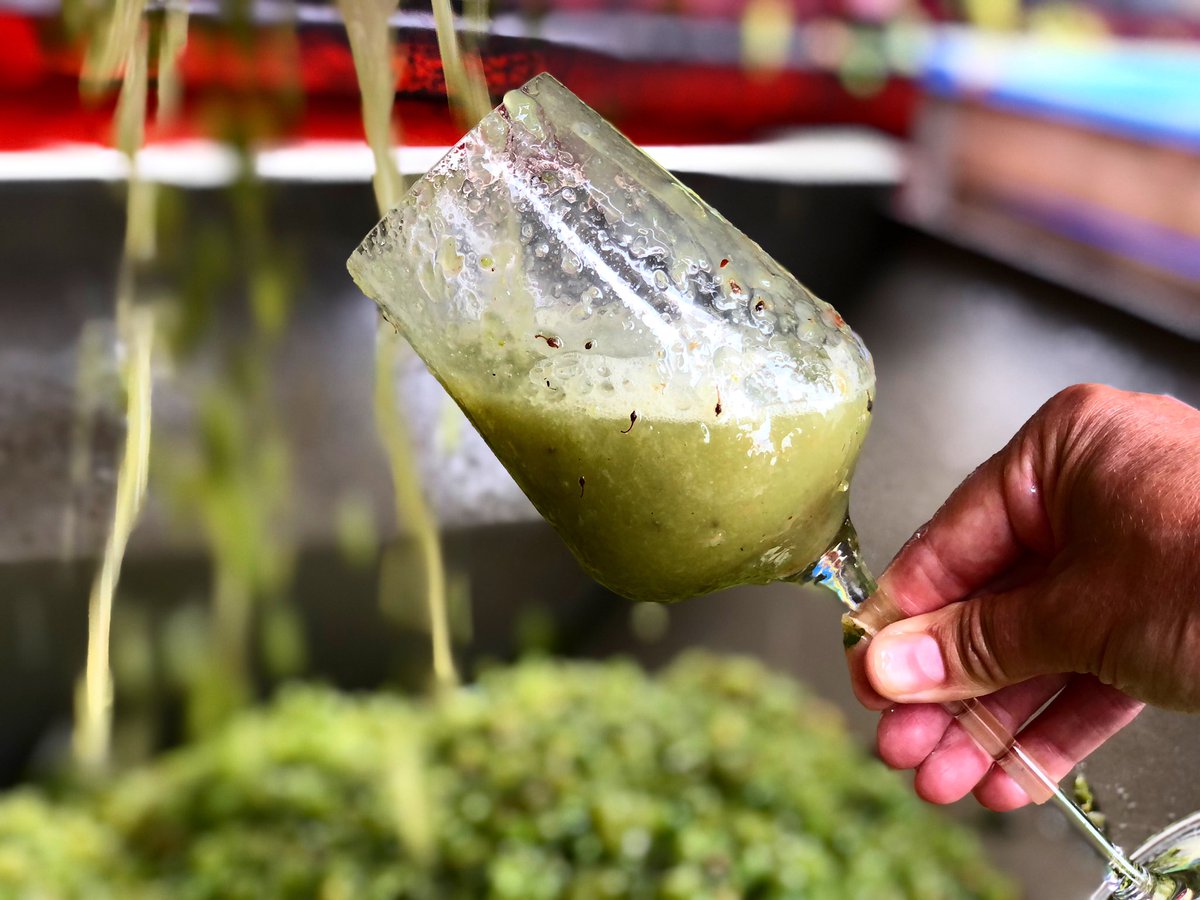 100 % Sauvignon Blanc juice, ready for action! 

Soon to be Stormhoek Sauvignon Blanc 2022 🥂

#Tesco #Morrisons #Coop #Waitrose #AlbertHeijn #GallenGallOfficial #TescoIreland
#WineAngel #Stormhoek #wine #harvest #harvest2022 #newvintage #grapes #sauvignonblanc #juice