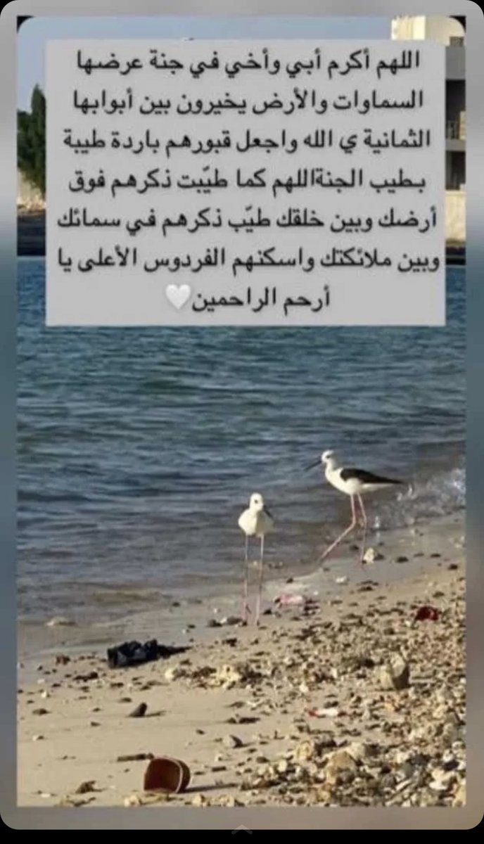 𝐴𝑏𝑒𝑒𝑟 𝑎𝑙𝑤𝑎𝑟𝑑🥈 tweet media