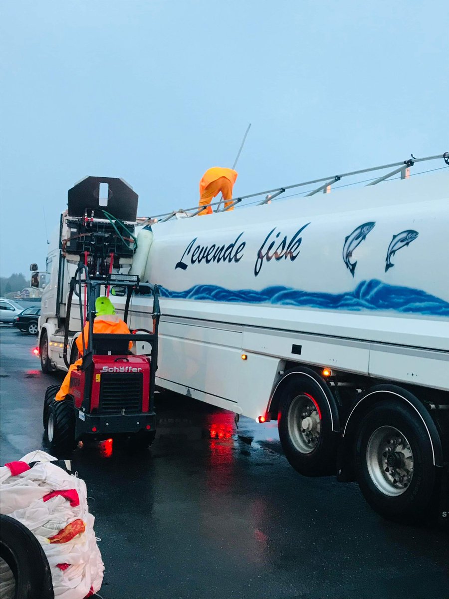 NONFr3's tweet photo. 📣📣Wondering about our @NordForsk project experiments? The sea water phase feeding trial has commenced, for which 800 post smolts 🐟🐟were PIT-tagged and moved to sea cages at @LetSea  
For more information, check out this link: https://t.co/XcX8g3J32W @Veramaris https://t.co/gwT9Vf6tb6