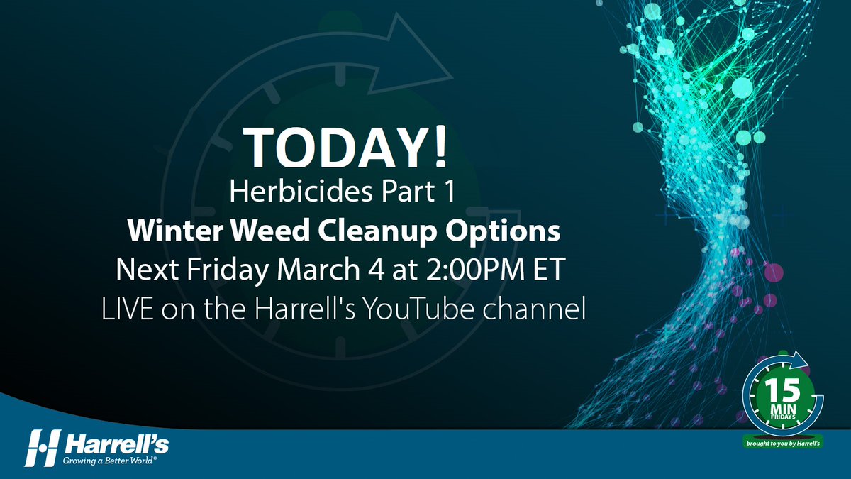 It's almost time! 2:00PM EST today is our first 15-Minute Friday! Come join us on our YouTube channel!