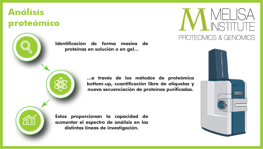 MELISAInstitute's tweet photo. Our proteomics platform can massively identify proteins in solution or in gel, through bottom-up proteomics methods, label-free quantification and new sequencing of purified proteins, providing the ability to increase the spectrum of analysis in the different lines of research. https://t.co/R0kqlW87n7