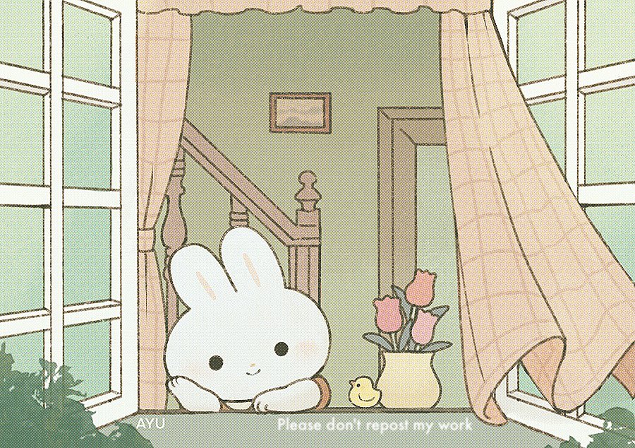 window flower no humans rabbit vase indoors dress  illustration images