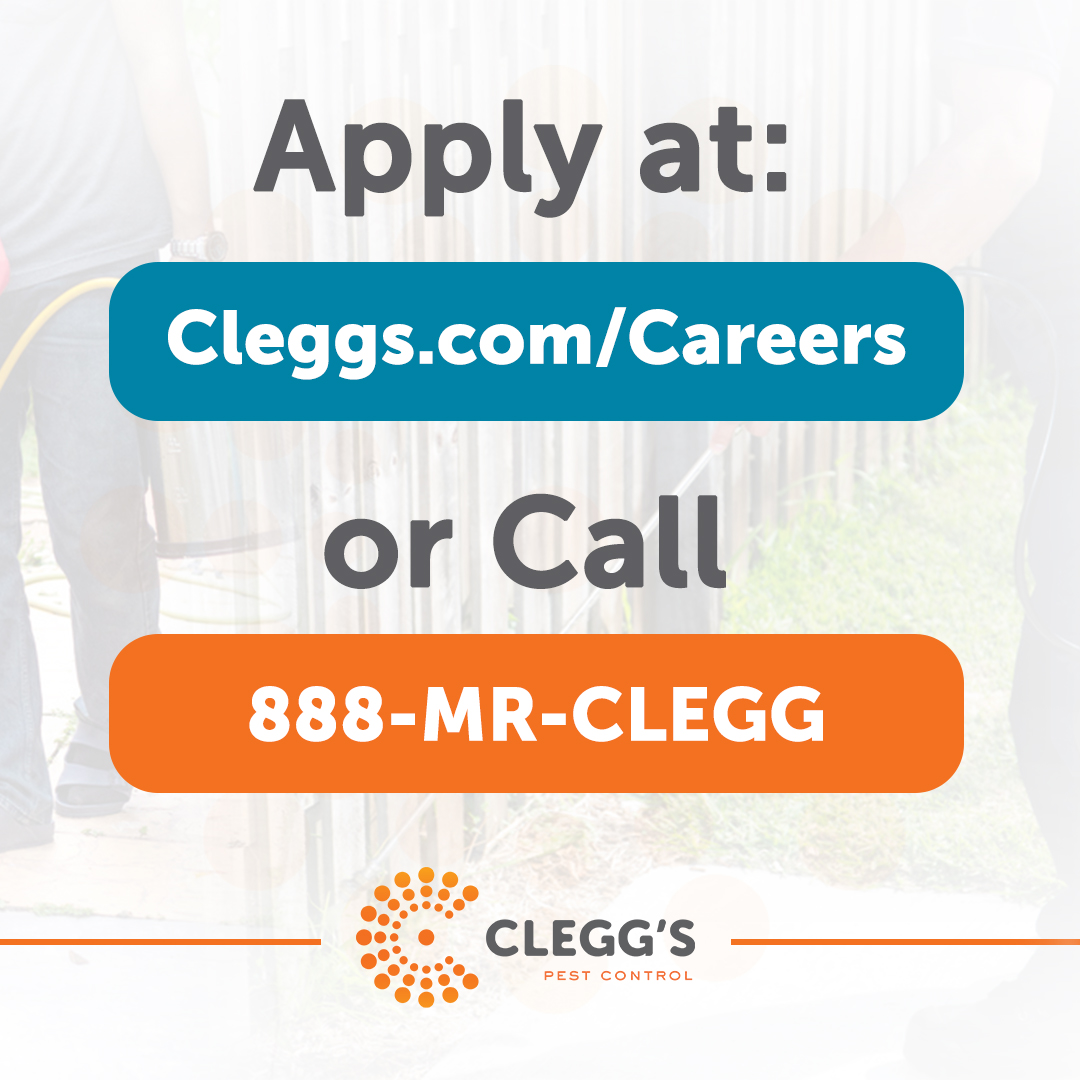 We're looking for motivated and friendly individuals to join our team! With different positions open across many locations, we offer competitive benefits and a positive work environment! Click here for more info  🔻
cleggs.com