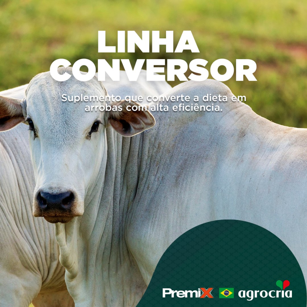 Agrocria_'s tweet photo. O Conversor Mais da Agrocria é a escolha ideal para potencializar a conversão da dieta oferecida em arrobas para o rebanho, tudo isso com resultados comprovados na ponta do lápis e no ponteiro da balança.

#Agrocria #PecuáriaForte #Premix #OagroNãoPara #PecuáriaBrasil #Pecuária https://t.co/jqEDCmo1bS