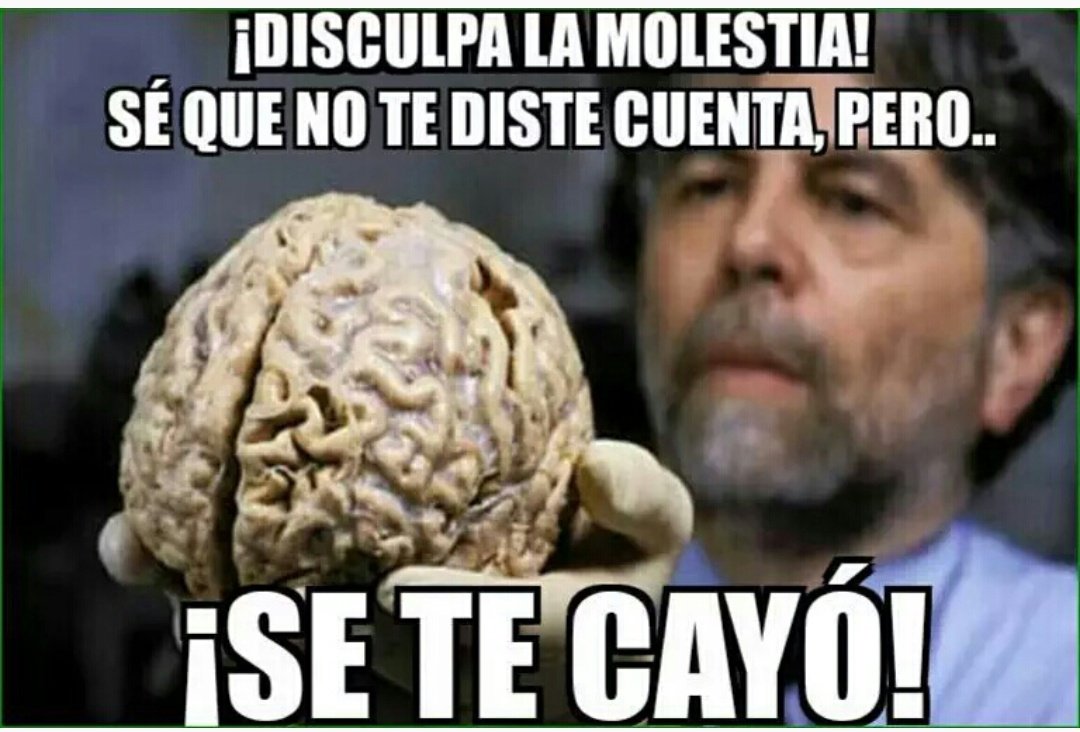 Armando_PTY's tweet photo. @Mayer Xa man deja de comer tanto cereal dulce y jugando pendejadas https://t.co/7lmFKTTCnV