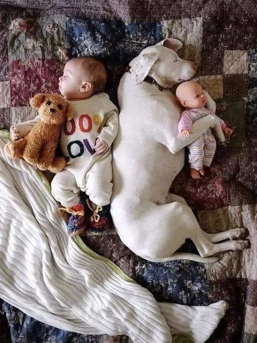 bosy_tawfek's tweet photo. Good night 😴 https://t.co/zML8p0tIW7