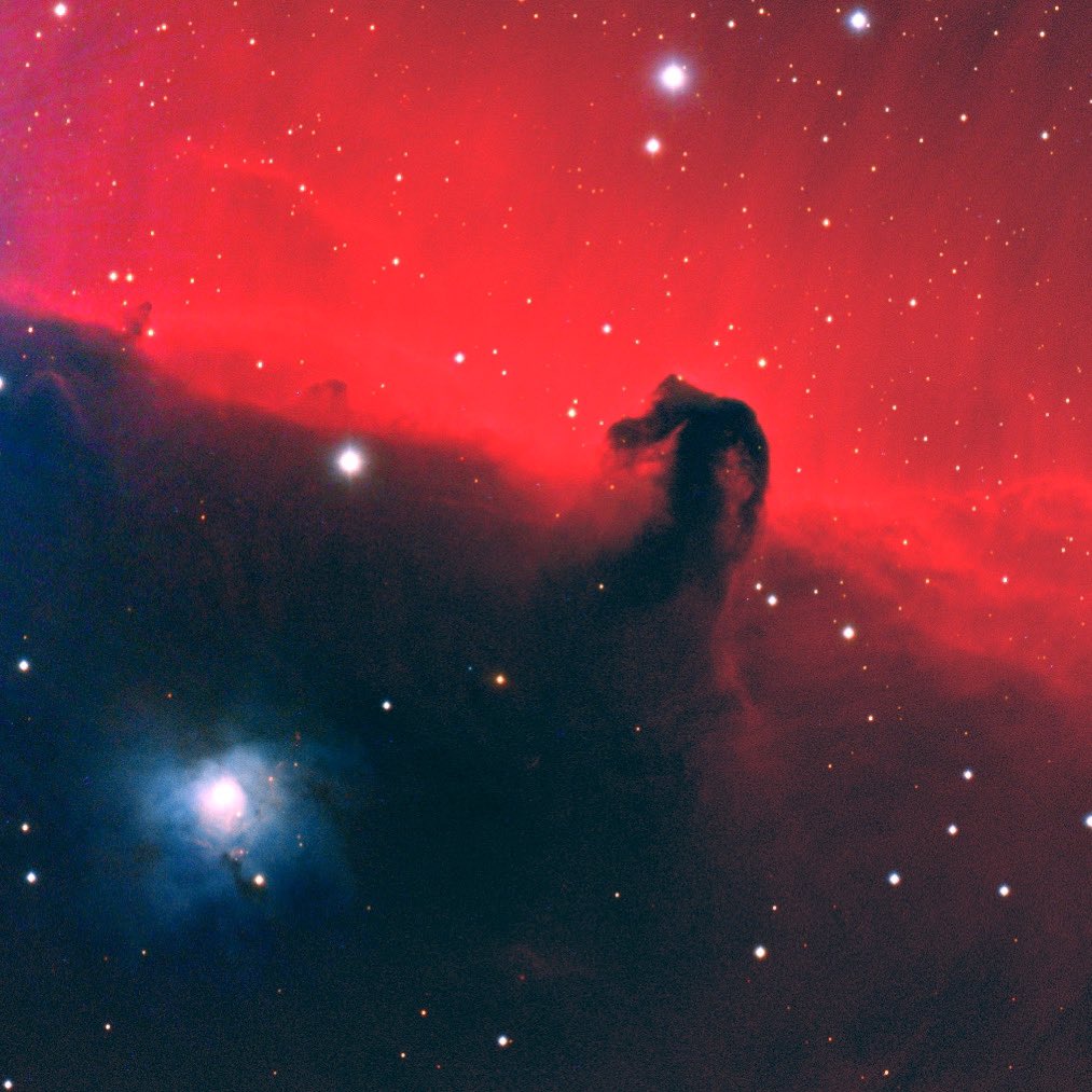 Horsehead and the bright nebula NGC2023 up-close
#Astrophotography
