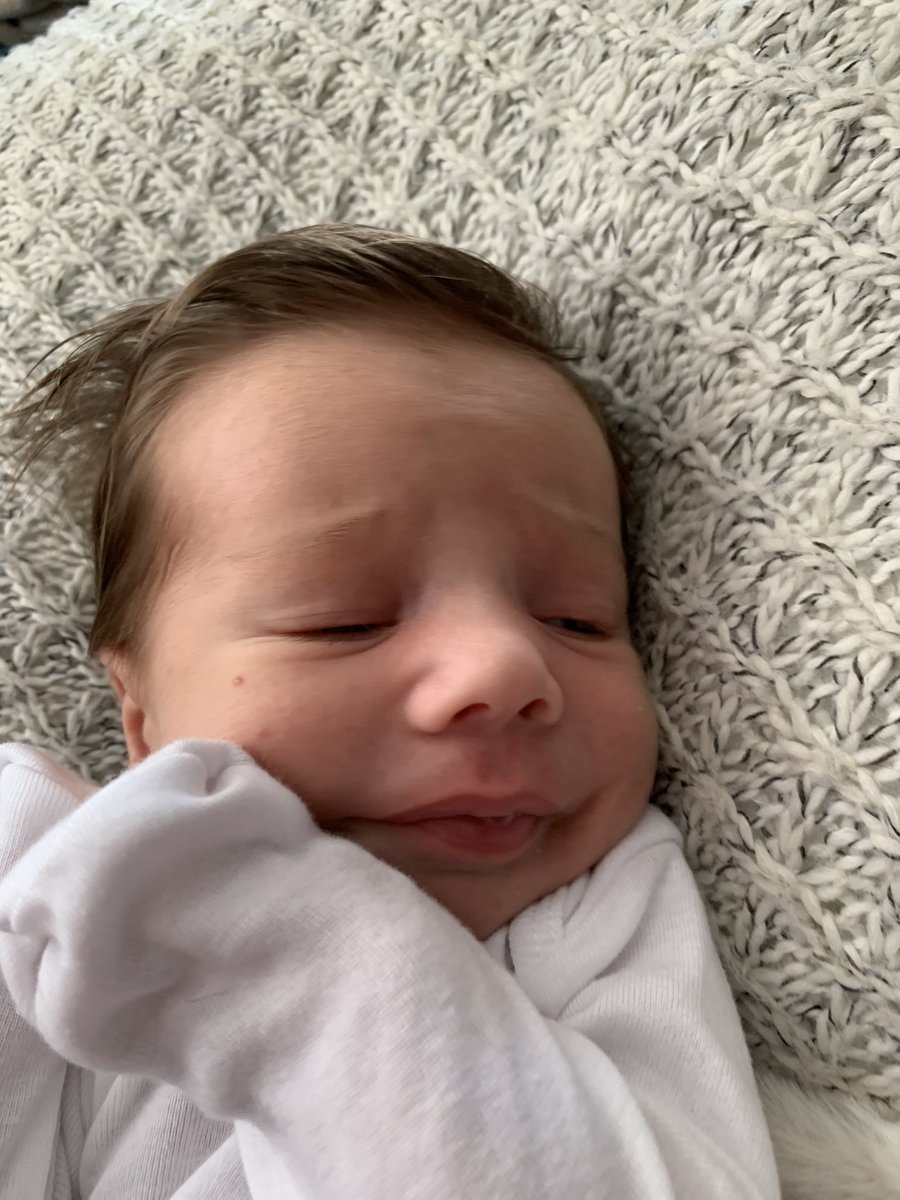 Brillebrand's tweet photo. I never knew how happy another person’s bowel movements could make me until becoming a parent https://t.co/Z2fPgEpHZb