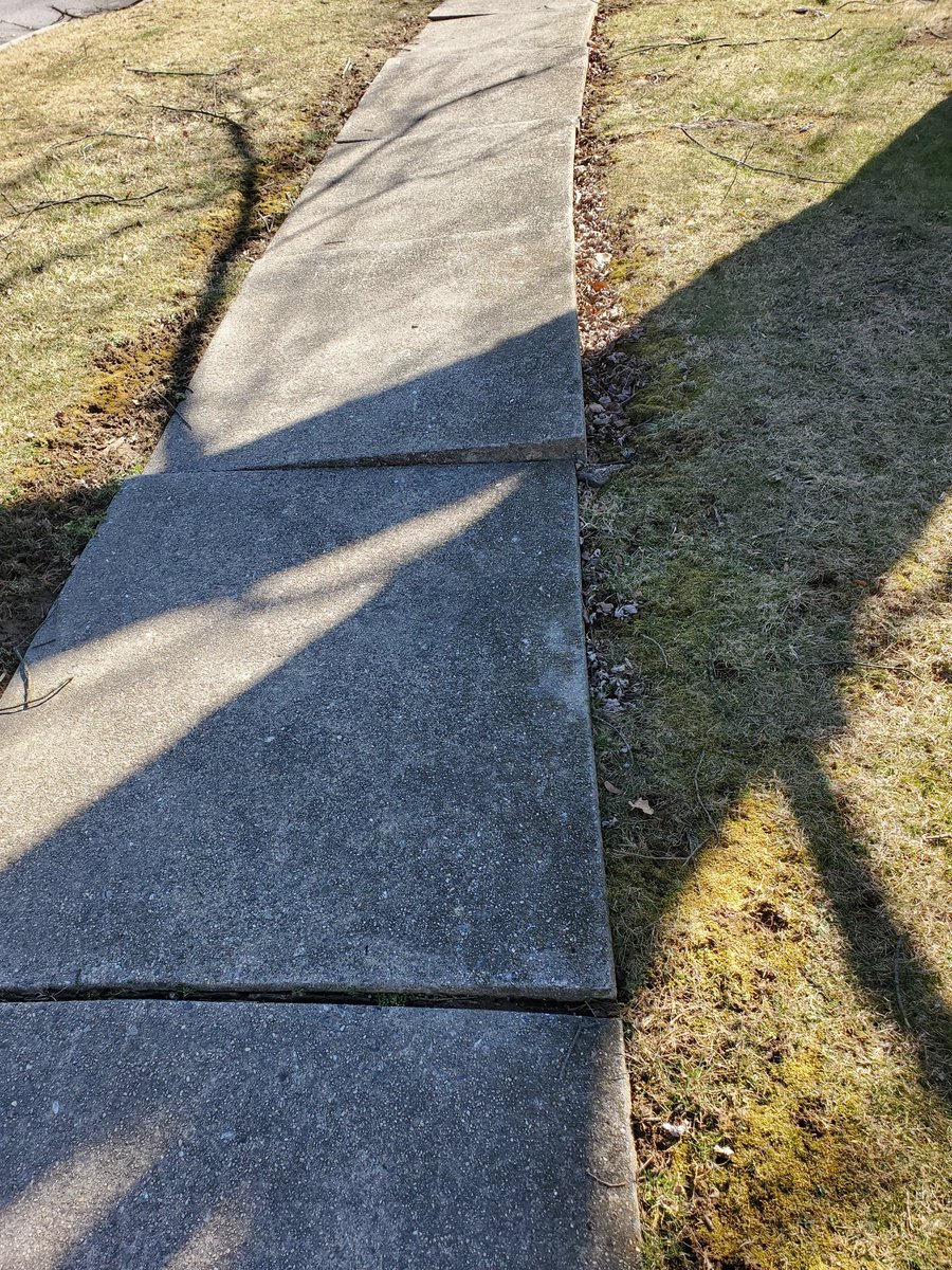 Trystan Blank tweet media