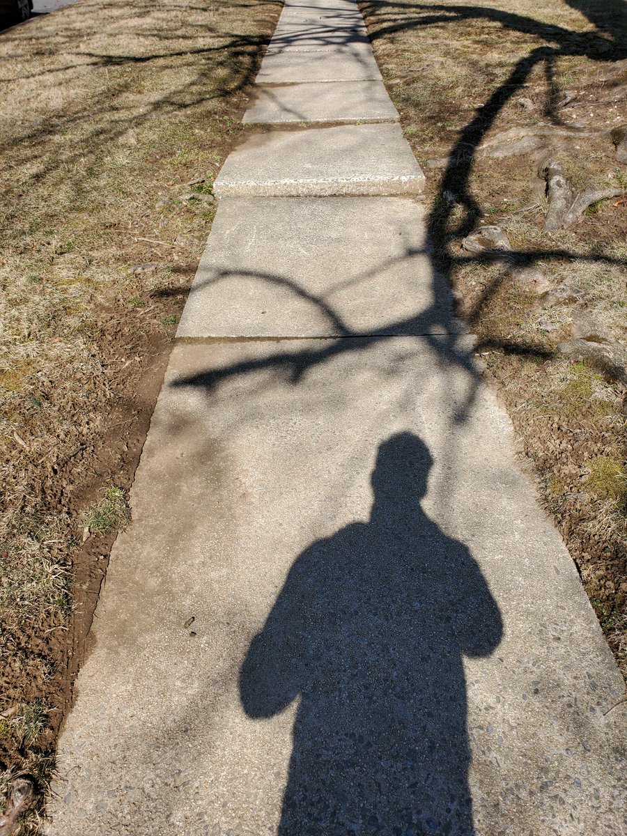 Trystan Blank tweet media