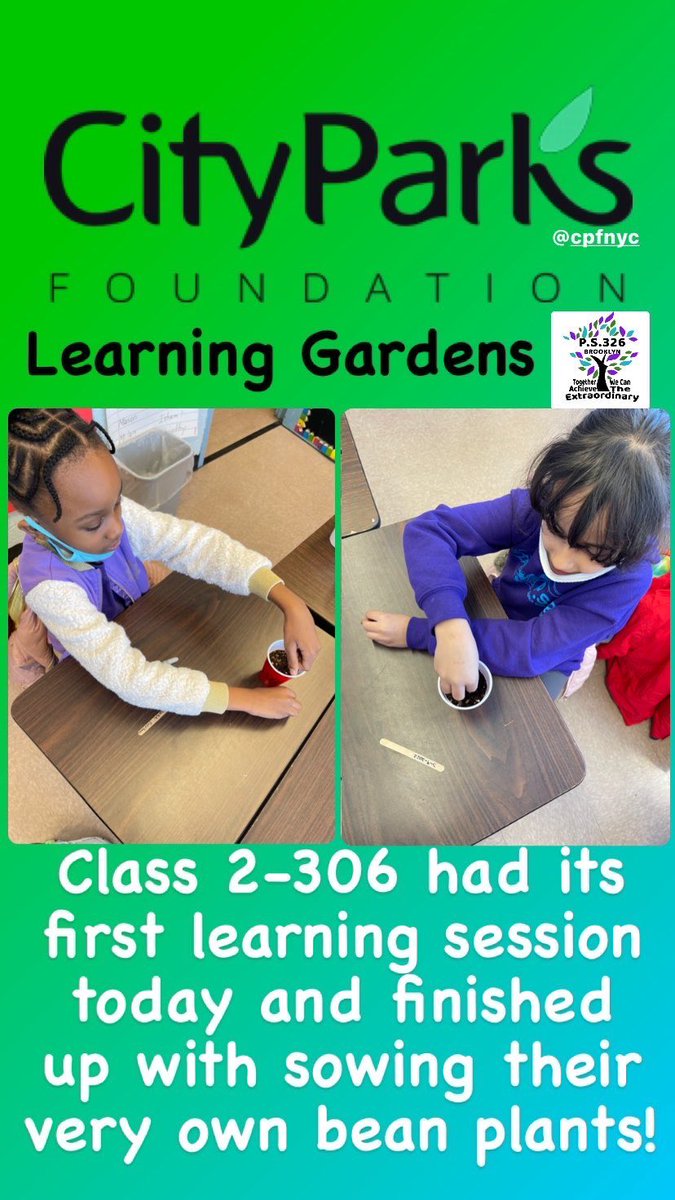 KPs326's tweet photo. In collaboration with the City Parks Foundation "Learning Gardens", P.S.326 students had the chance to learn about the life cycle of plants and even sow their very own bean plants! #ps326 #cityparks #learninggardens #beanplants @District22BKNY @NYCSchools https://t.co/iFWbX9RhAv
