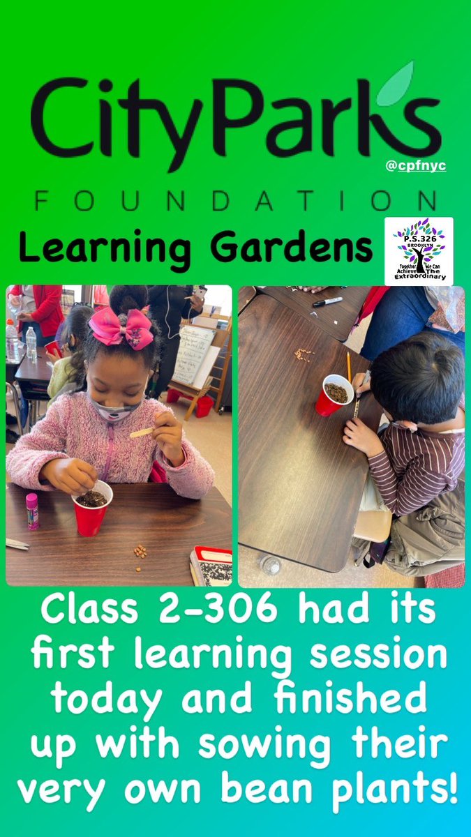KPs326's tweet photo. In collaboration with the City Parks Foundation "Learning Gardens", P.S.326 students had the chance to learn about the life cycle of plants and even sow their very own bean plants! #ps326 #cityparks #learninggardens #beanplants @District22BKNY @NYCSchools https://t.co/iFWbX9RhAv
