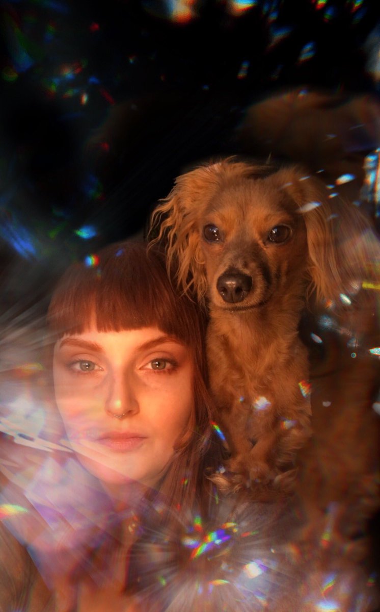 maddychan1's tweet photo. When your dog wants to be in your ‘THE’ photos. https://t.co/ssefdBzUCN